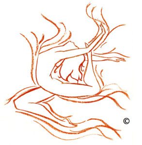 WSPA Logo copy