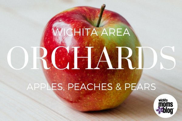 Apple Picking in Wichita