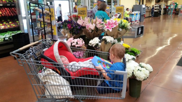 Grocery Shopping with Small Children – Sanity Savers for Survival