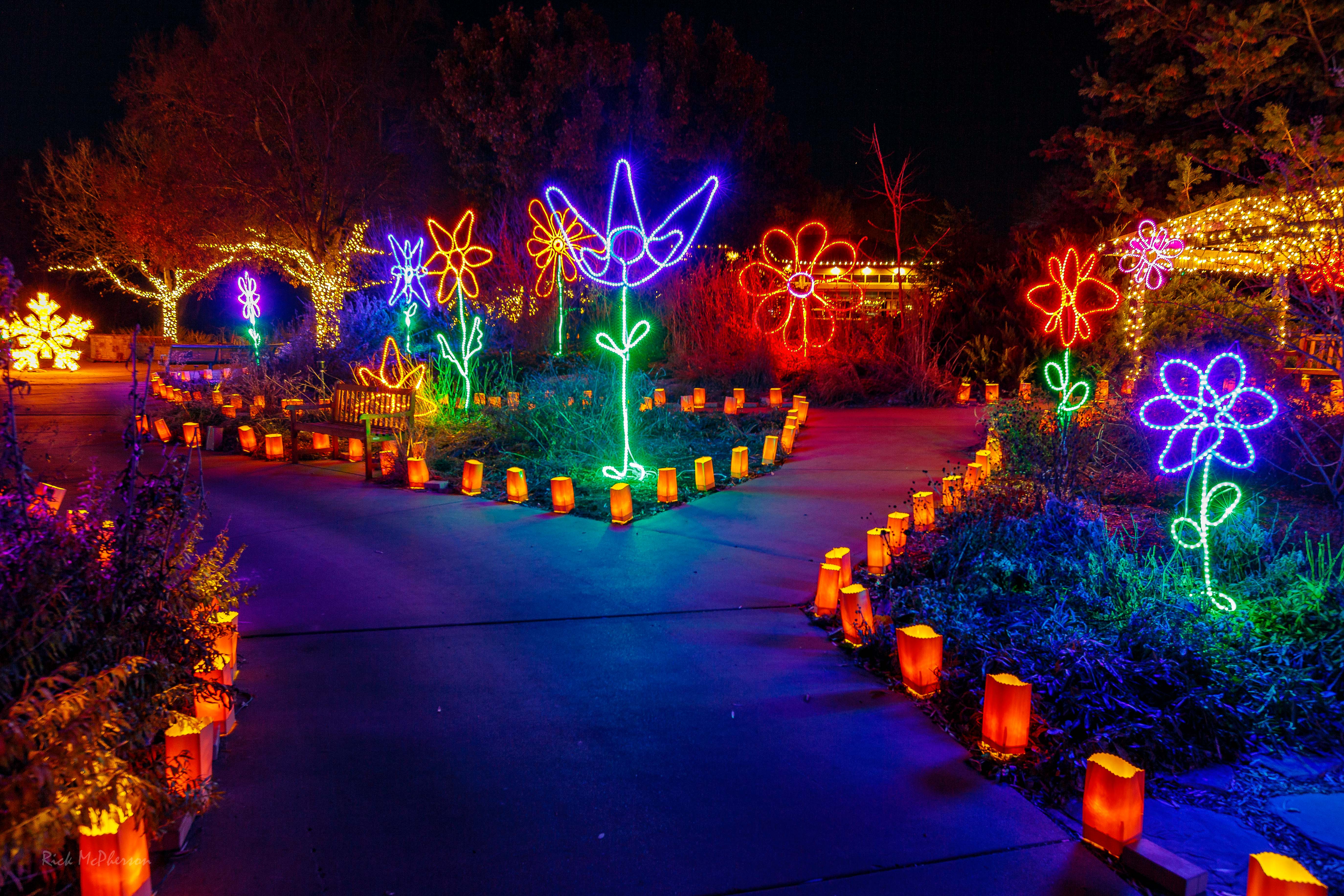 Illuminations Premier Light Show Returns to Botanica November 18-January 1