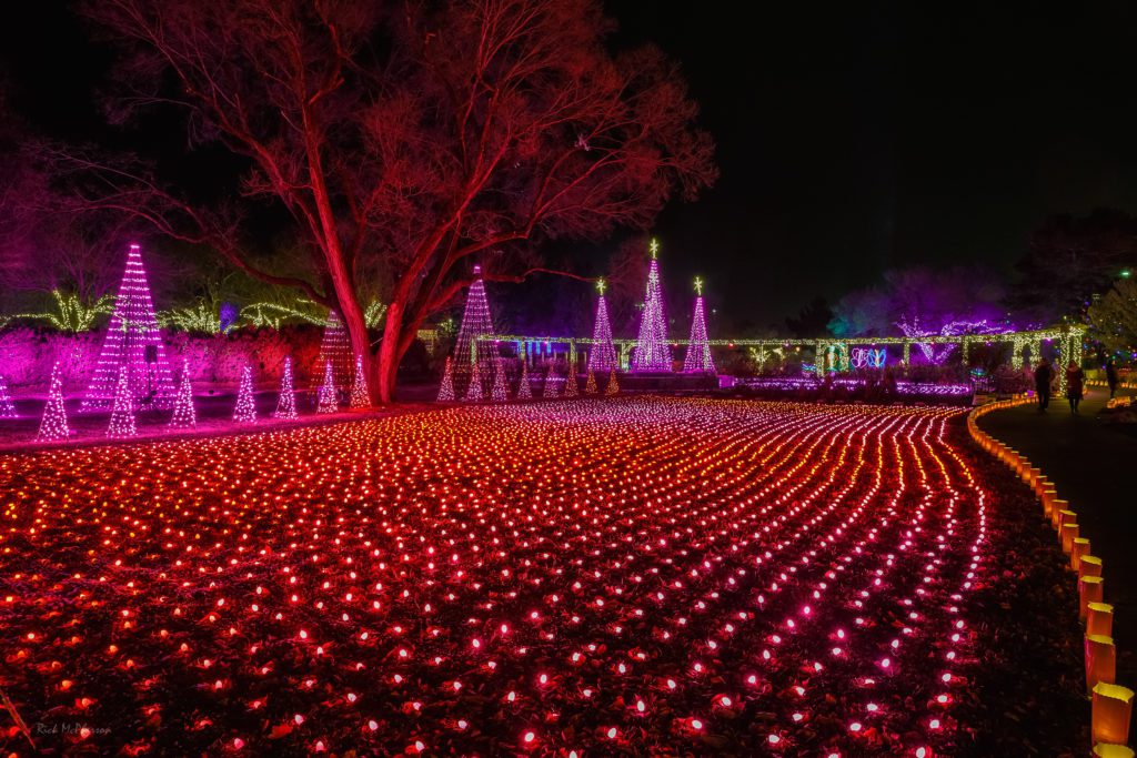 botanica illuminations wichita ks cancelled