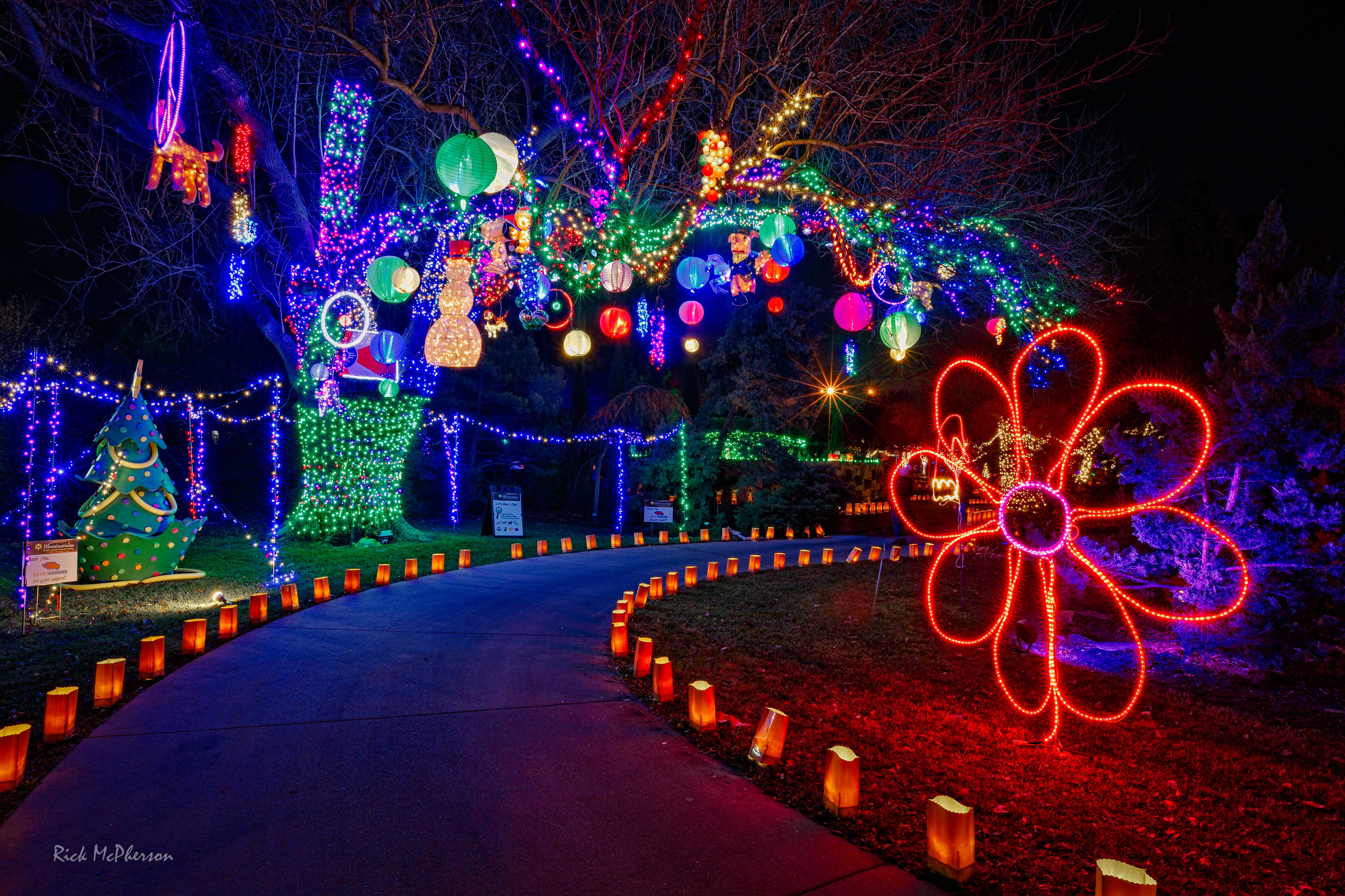 Illuminations At Botanica Come To Wichita S Premier Light Show