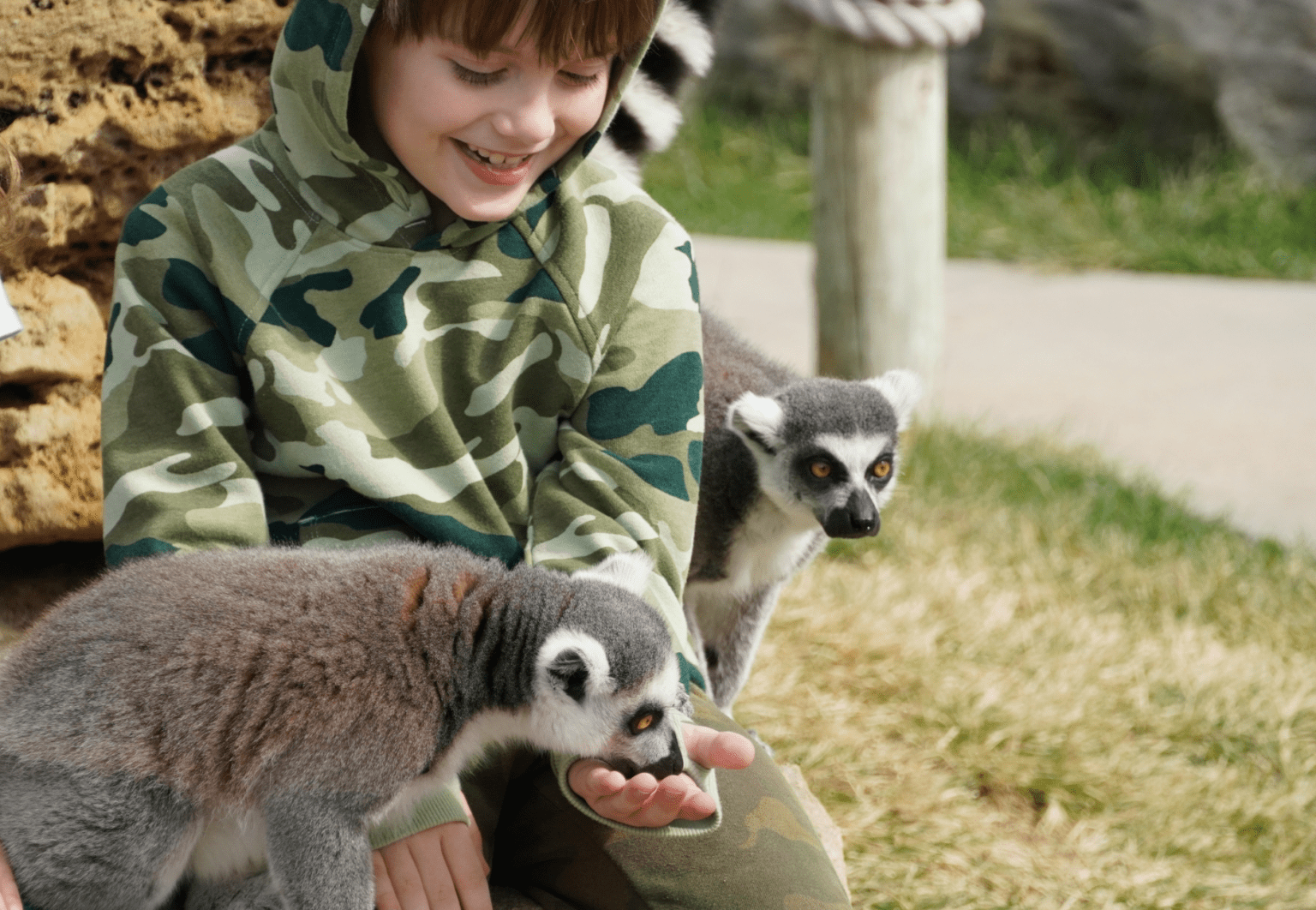 Tanganyika Wildlife Park Passes for Kids in Wichita