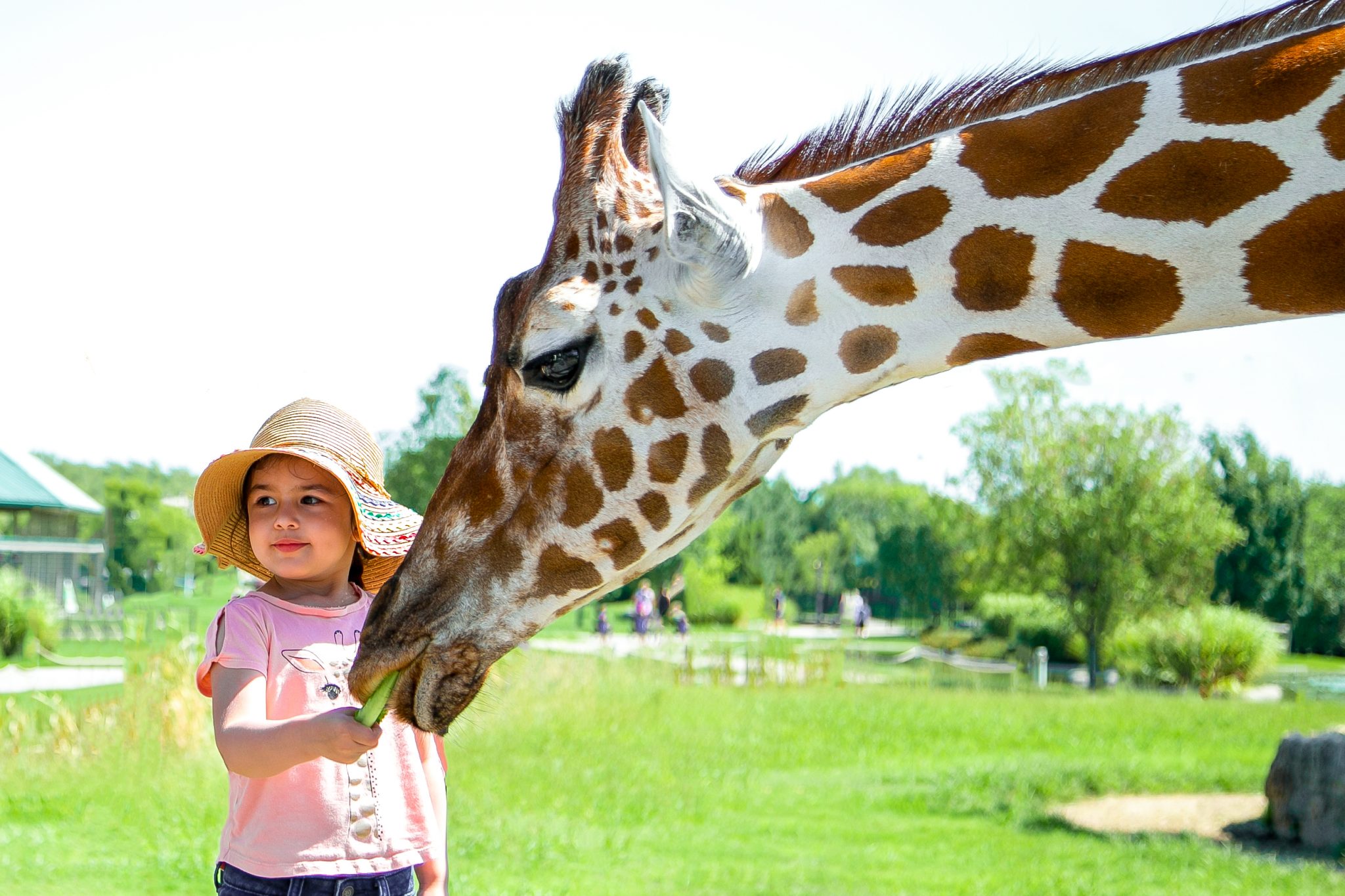 Tanganyika Wildlife Park Passes for Kids in Wichita