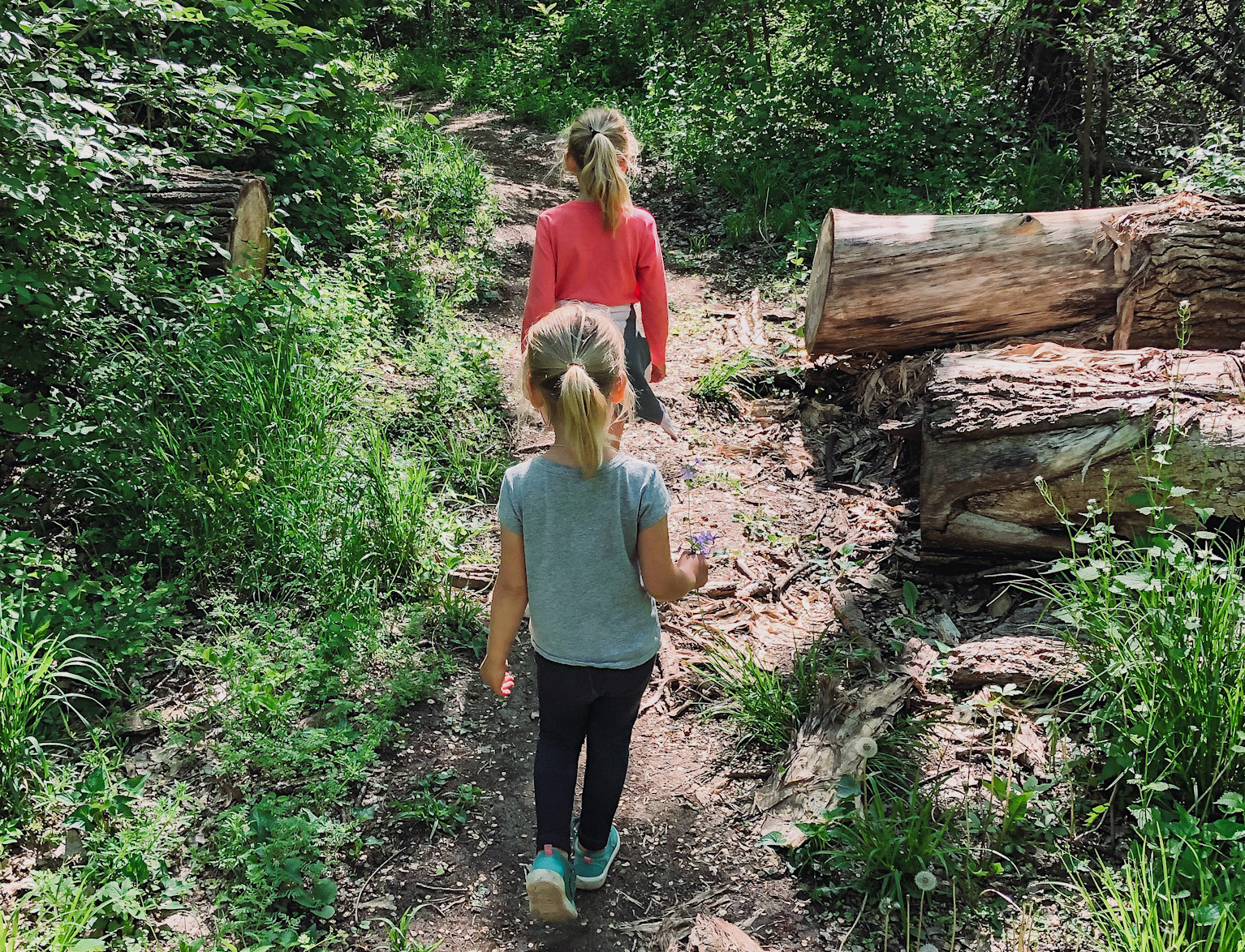 Best Kid Friendly Outdoor Adventures In Wichita Area best-kid-friendly-outdoor-adventures-in-wichita-area