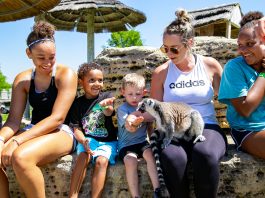 Tanganyika Wildlife Season Pass