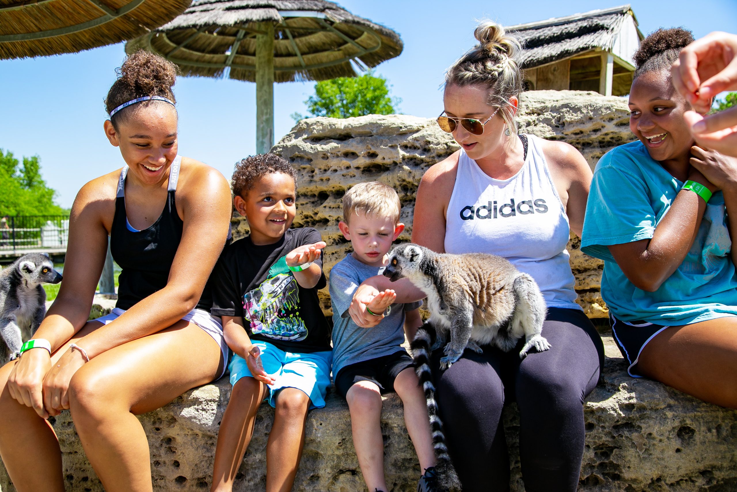 family with lemurs