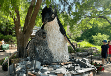 Washed Ashore penguins