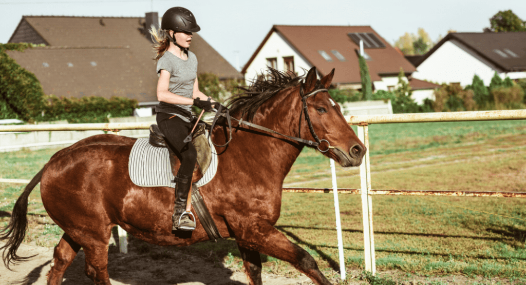 Where to Take Horseback Riding Lessons in Wichita