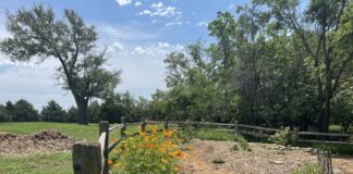 Explore with Kids: Pawnee Prairie Park | Wichita KS