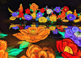 Wild Lights Wichita Lantern Festival