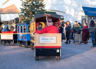 Bradley Fair Express Train