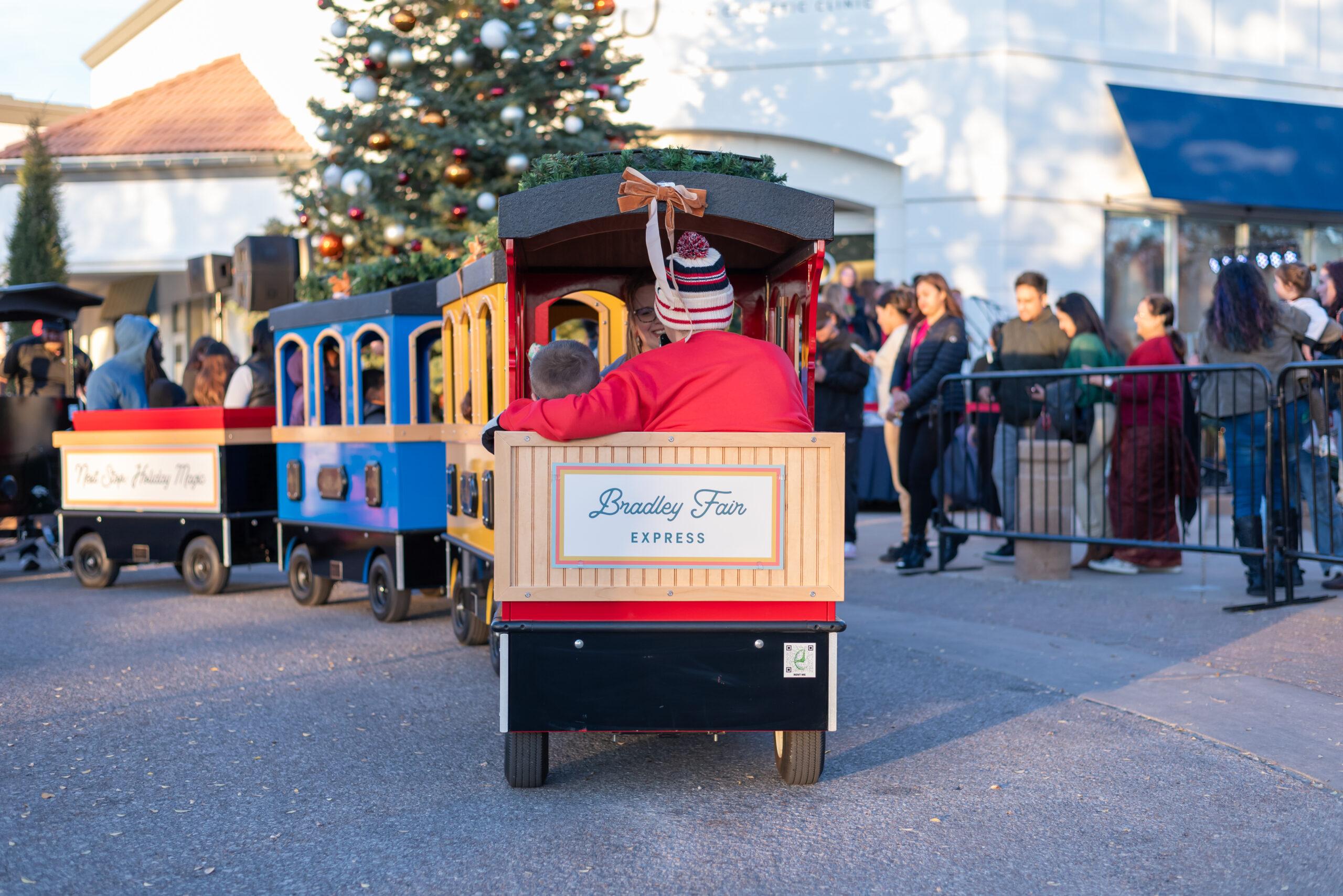 Bradley Fair Express Train