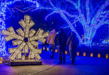 15 Festive, Kid-Friendly Holiday Events in Wichita | 2025