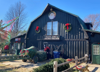 Prairie Pines Christmas Tree Farm