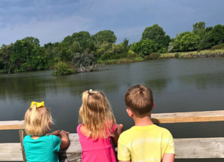 Wichita Under age 5 and under