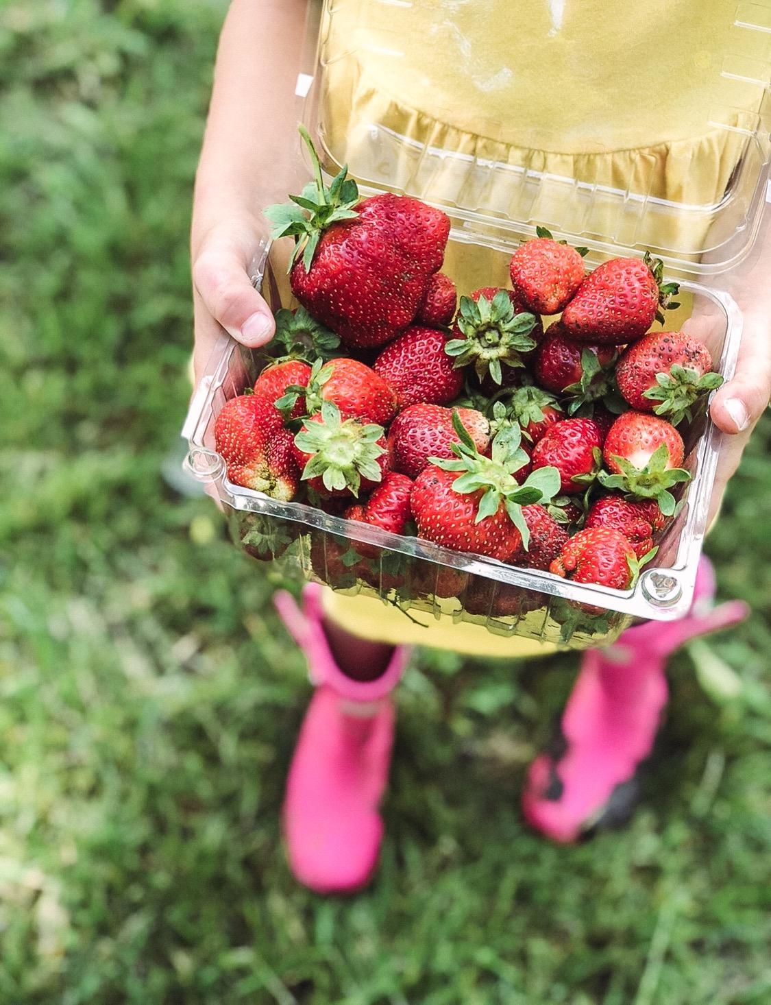 Fruit Picking Wichita