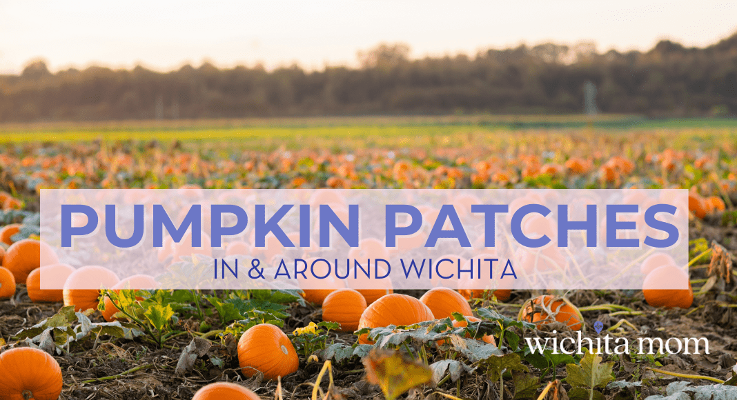 Wichita Pumpkin Patches