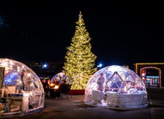 Winter Holiday Experience