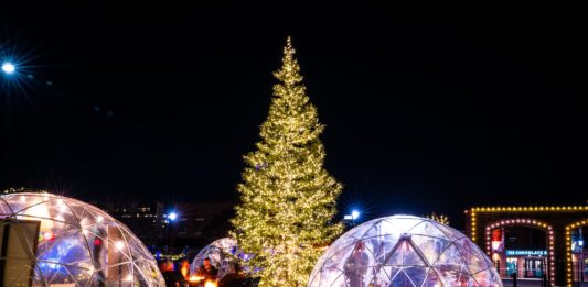 Winter Holiday Experience