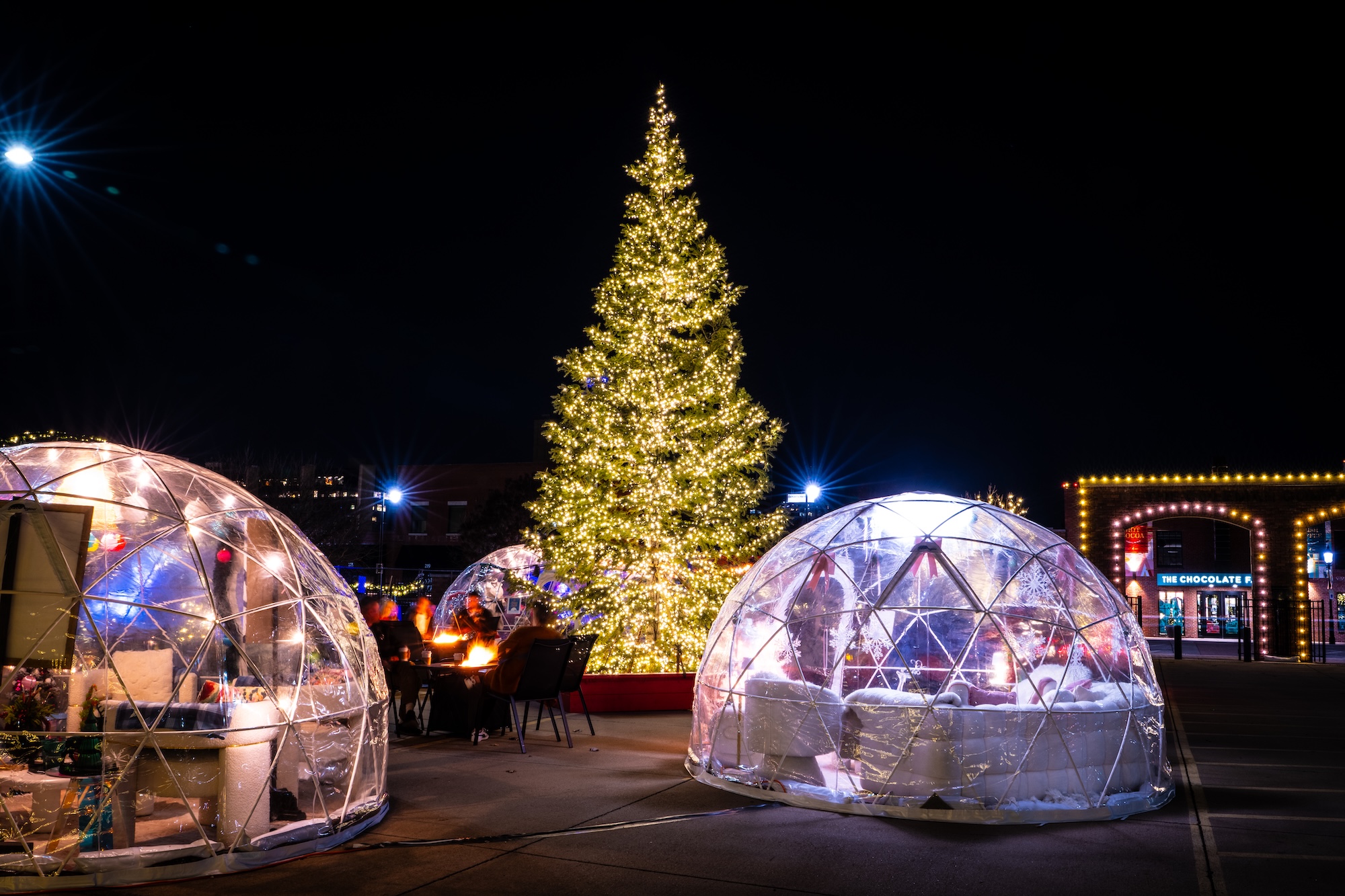 Winter Holiday Experience