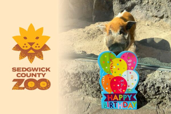 2026 Birthday Zoo 2026 Birthday Zoo