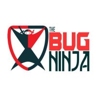 bug ninja.jpg